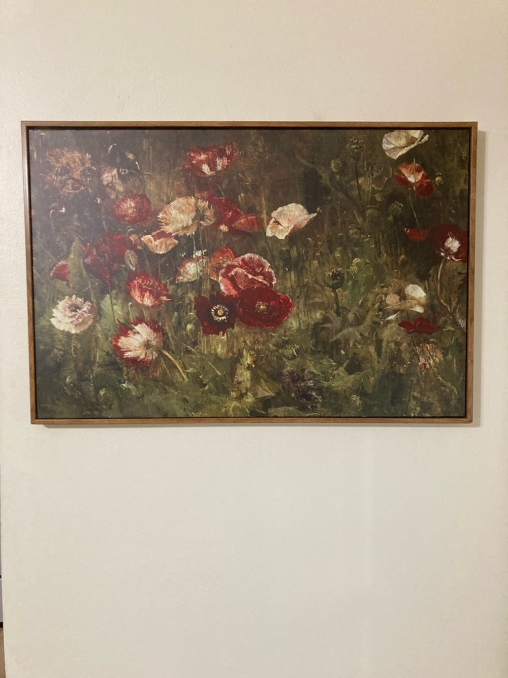 A Bed of Poppies Botanical Print Framed